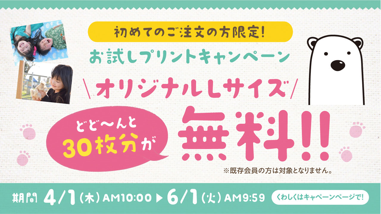キャンペーン 写真プリント しろくまフォト キャンペーン 写真プリント しろくまフォト